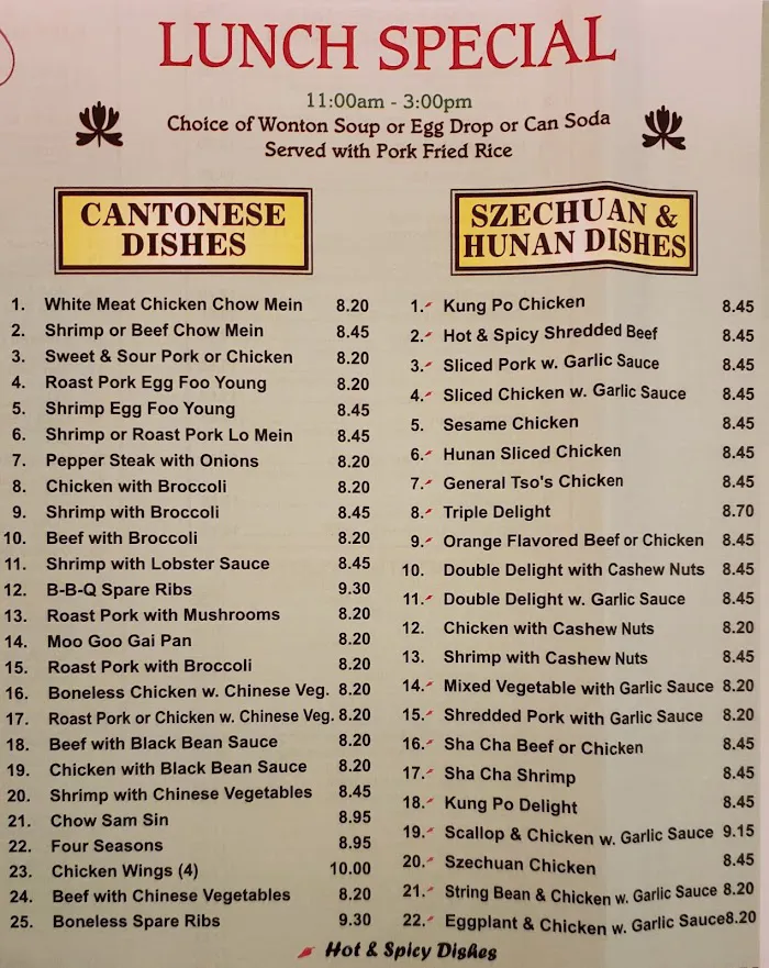 Dynasty Kitchen 3