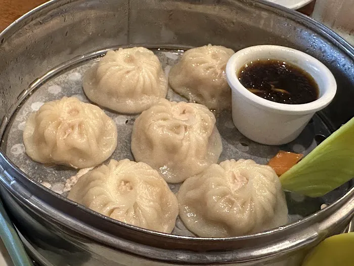 Trendy Dumpling 2