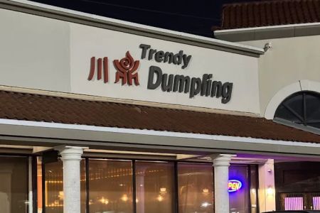 Trendy Dumpling