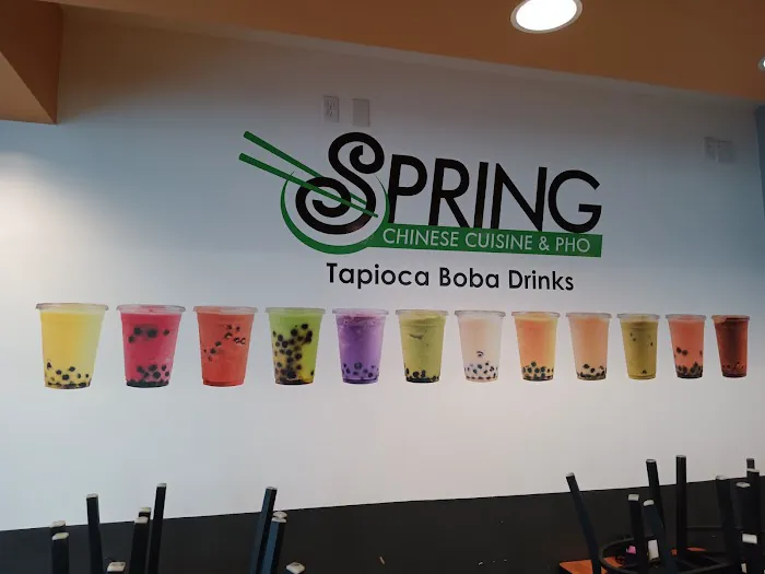 Spring Chinese Cuisine & Pho 6