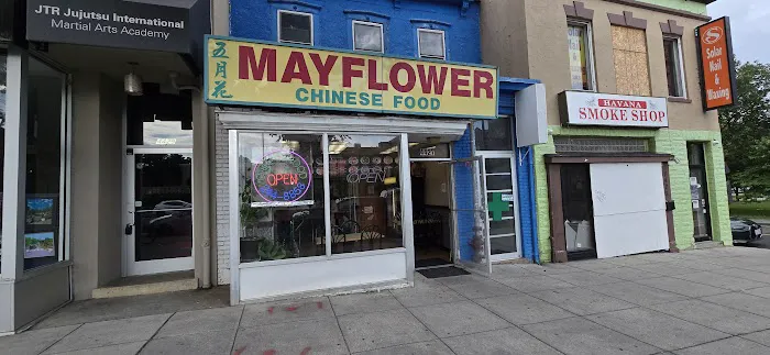 Mayflower Chinese Food 10