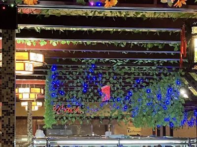 Hibachi Grill & Supreme Sushi Buffet 0