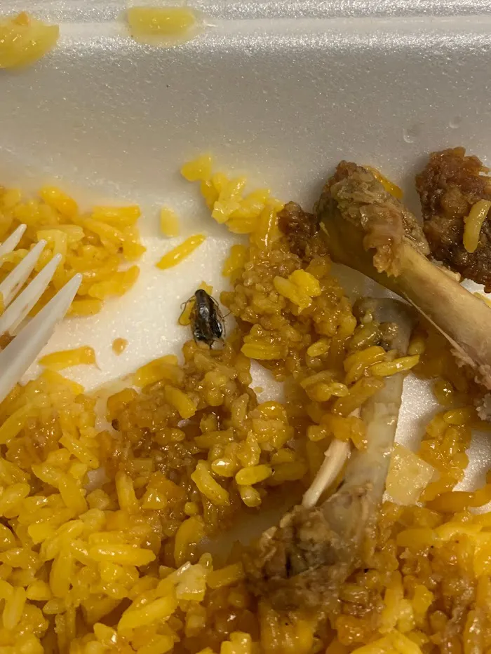 Magic Wok Chinese Food Restaurant 9