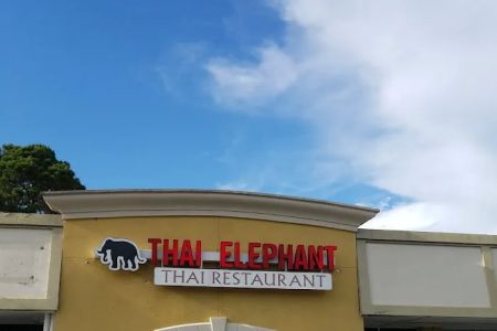 Thai Elephant Authentic Thai Cuisine