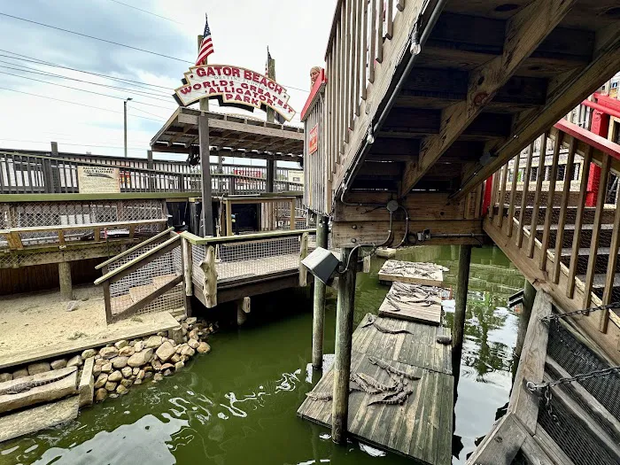 Fudpucker's Beachside Bar & Grill 1