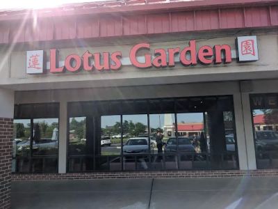 Lotus Garden 0