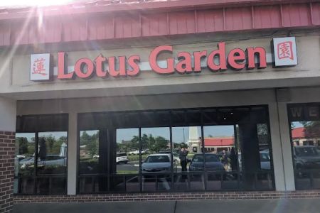 Lotus Garden