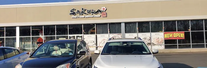 Sakura 1