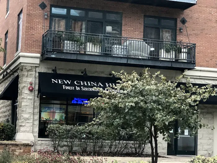 New China hut # 3 (downtown Aurora) 2
