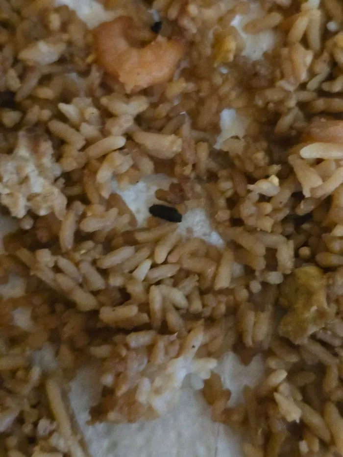 Ming Toy Chop Suey 4