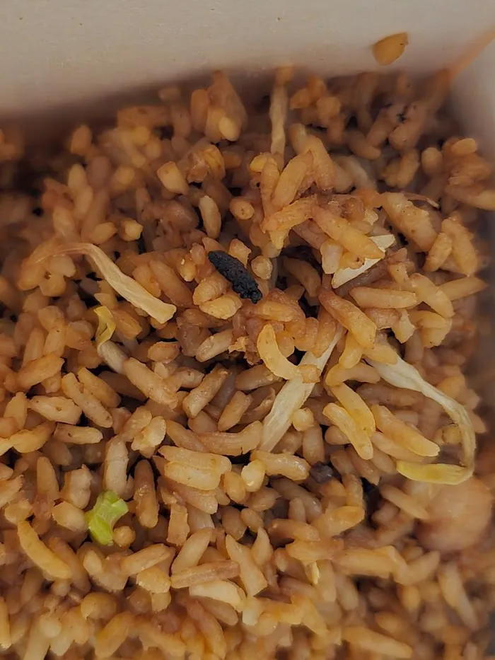 Ming Toy Chop Suey 6