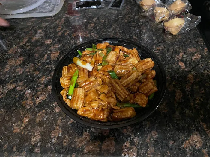 Hunan Gourmet 1