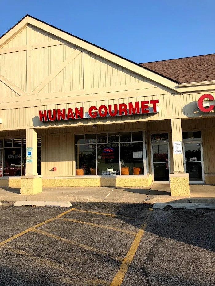 Hunan Gourmet 9
