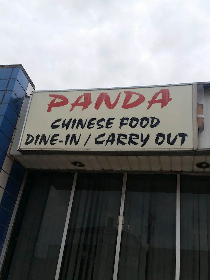 Panda 5