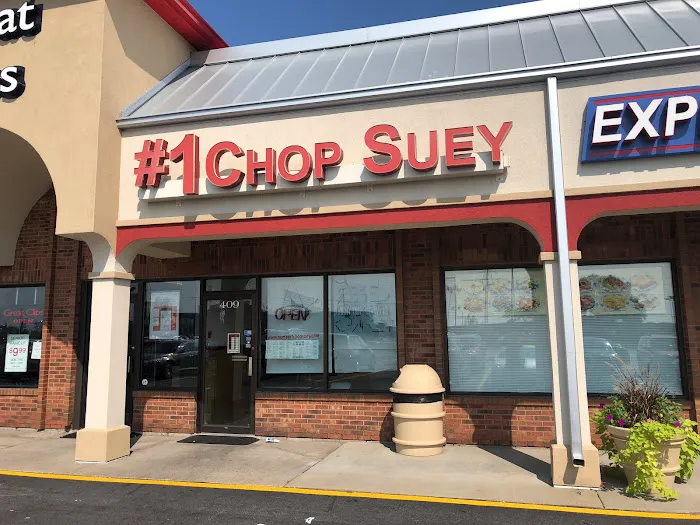 #1 Chop Suey 2