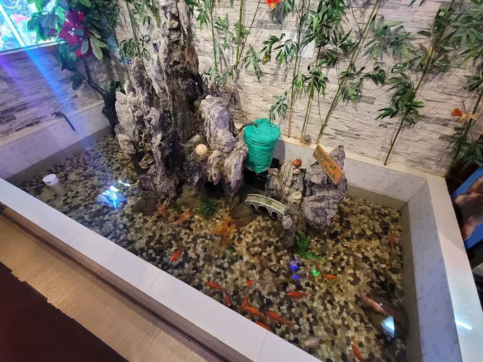 East Gourmet Buffet 9