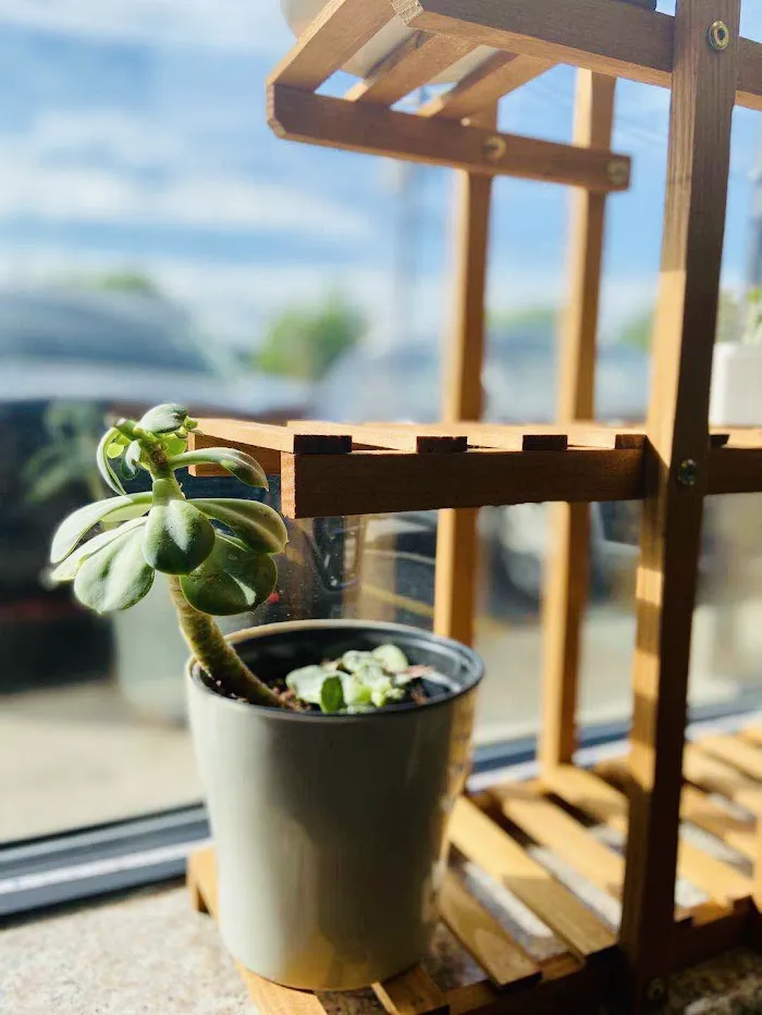Happy Garden 4