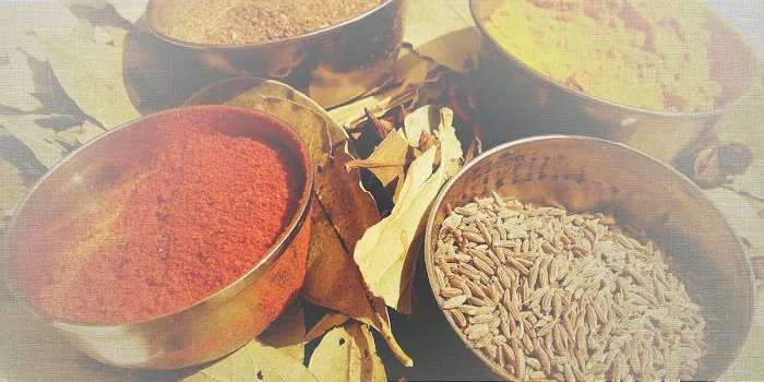Tandoor Fine Indian Cuisine 2