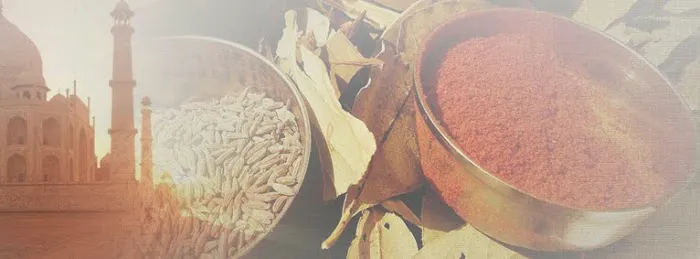 Tandoor Fine Indian Cuisine 4
