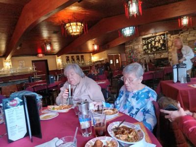 Lychee Garden 荔枝花園 | Chinese & American Restaurant 0