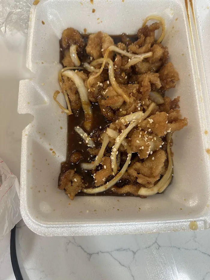 Pan Wok 10