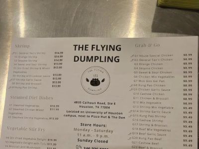 The Flying Dumpling 0