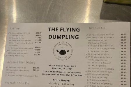 The Flying Dumpling