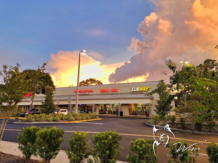 China Wok - Disston Plaza 6