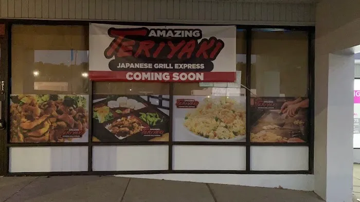 Amazing Teriyaki Japanese Grill Express 3