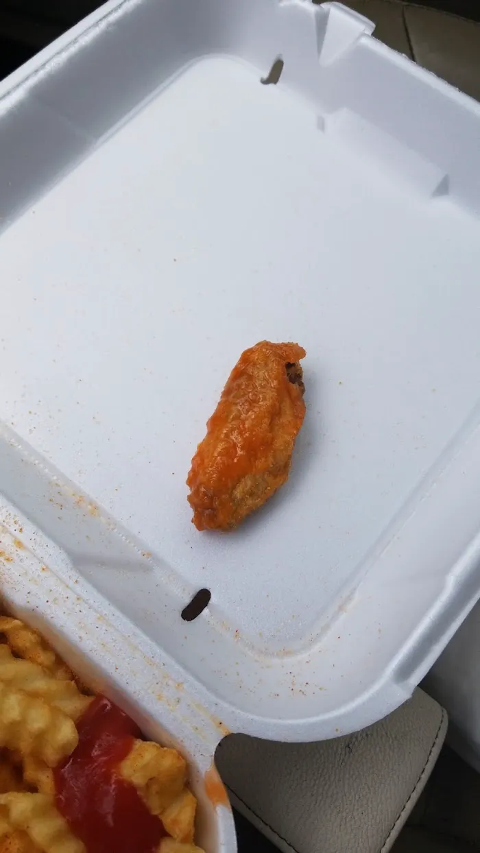 Wow Wings 7