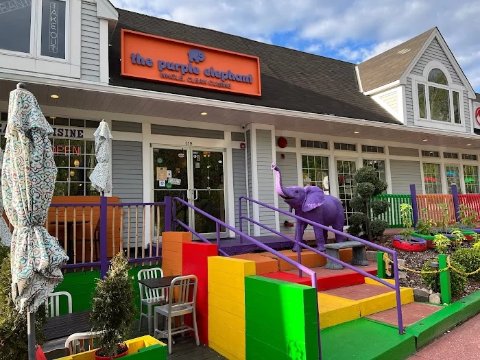 The Purple Elephant 1