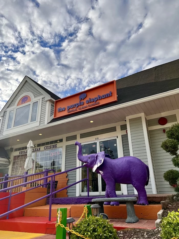The Purple Elephant 3