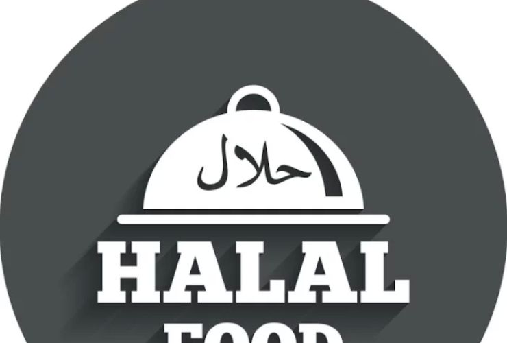 Zillu Halal Kitchen | Halal Food Restaurant Huntington, NY 0