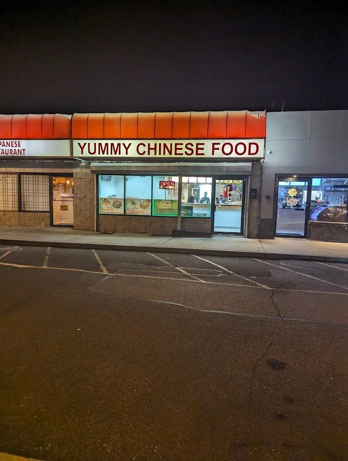 Yummy Chinese Food 2