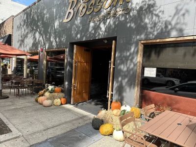Blossom Asian bistro 0