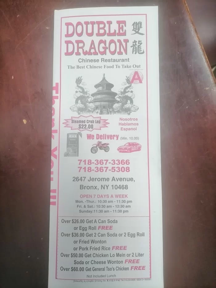 Double Dragon 3