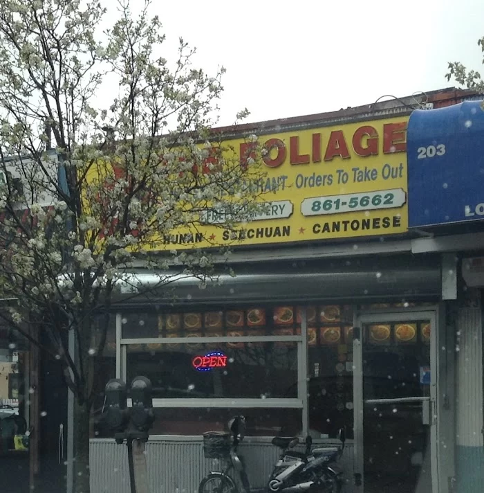 The Foliage 7