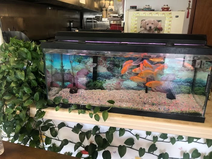 Sheng Garden Chinese Restaurant 4