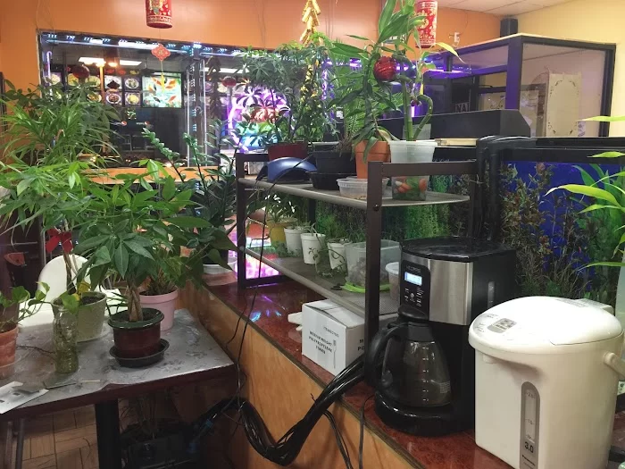 Sheng Garden Chinese Restaurant 6