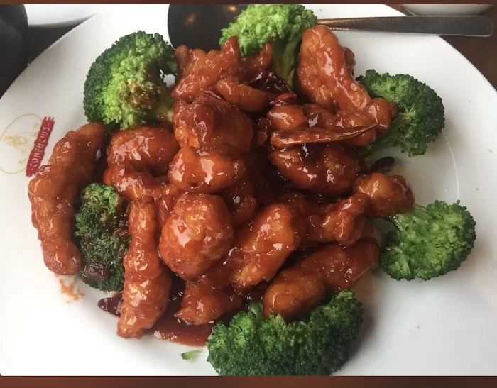 Precious Chinese & Japanese Cuisine 5