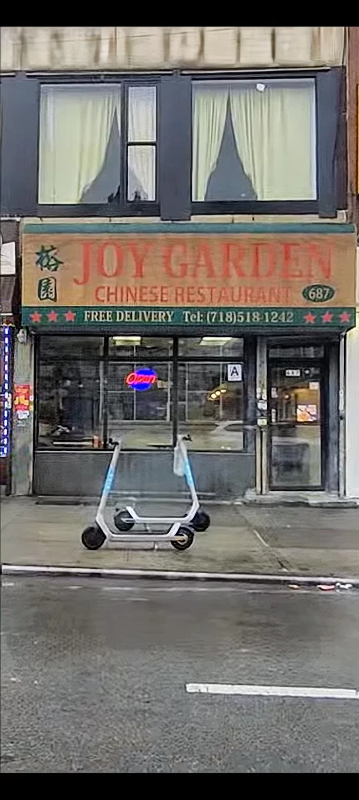 Joy Garden 10