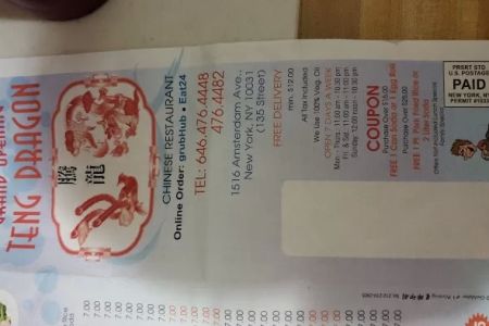 Teng Dragon