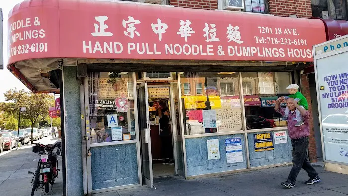 Hand Pull Noodle & Dumplings House 2