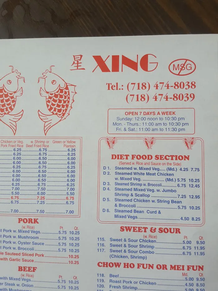 Xing Xing 9