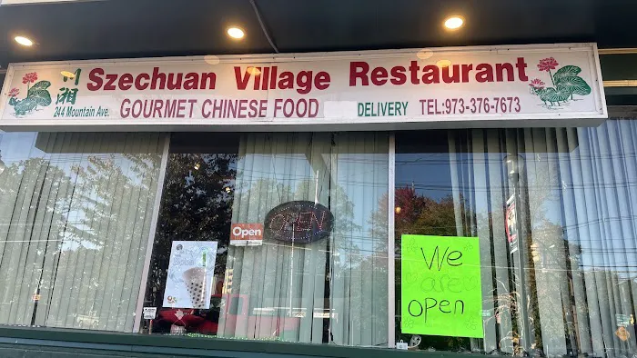 Szechuan Village 2