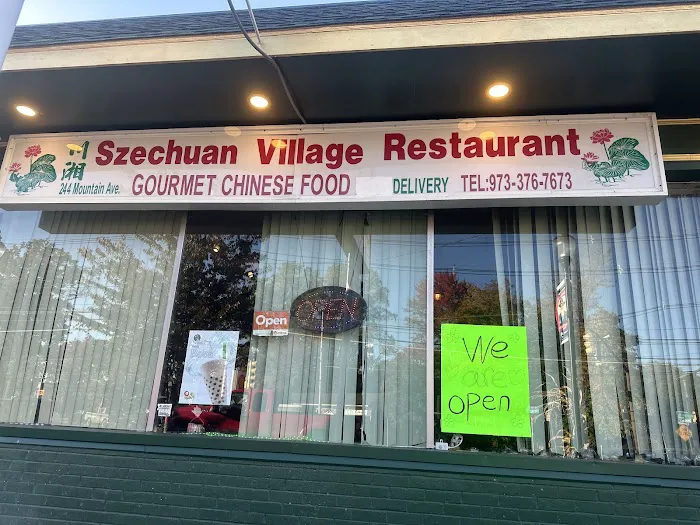 Szechuan Village 4