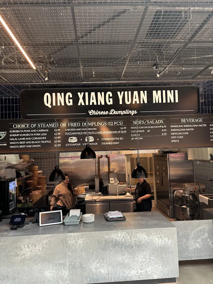 Qing Xiang Yuan Mini 4
