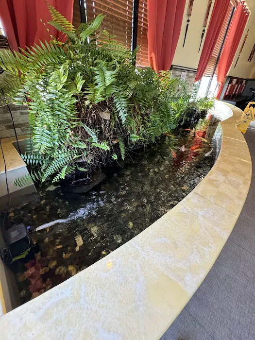 Teppanyaki Buffet 5