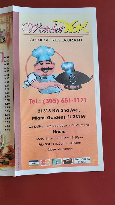 Wonder Wok 1