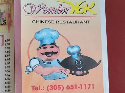 Wonder Wok 0